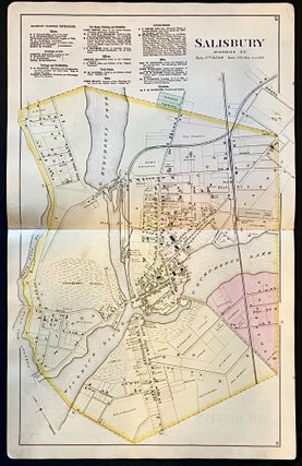 Item #15156 Original 1877 Hand-Colored Street Map of Salisbury, Maryland (Wicomico County