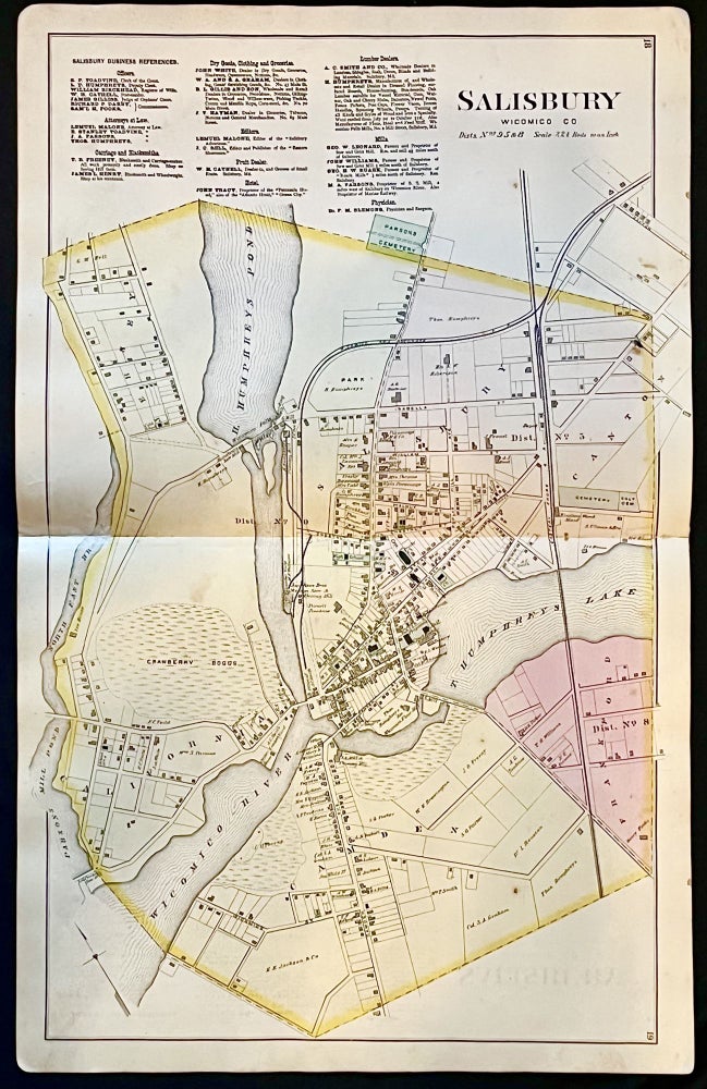 Item #15156 Original 1877 Hand-Colored Street Map of Salisbury, Maryland (Wicomico County)