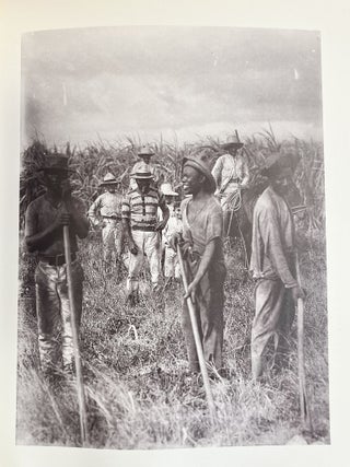 Photos and Phantasms: Harry Johnston's Photographs of the Caribbean