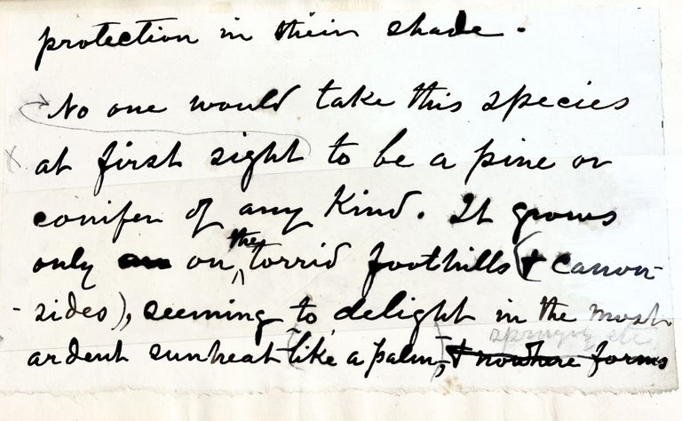 Item #17300 The Writings of John Muir (Manuscript Edition). John Muir, With Handwritten Leaf.