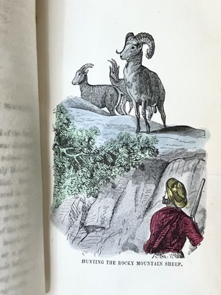Perils And Pleasures Of A Hunter's Life; Or The Romance Of Hunting