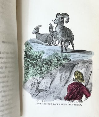 Perils And Pleasures Of A Hunter's Life; Or The Romance Of Hunting