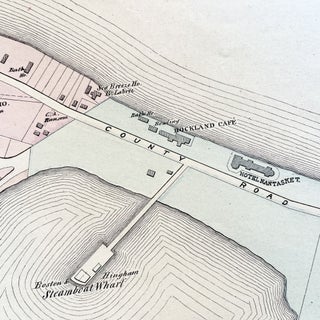 1879 Hand-Colored Street Map of Nantasket Beach Massachusetts w PROPERTY OWNER NAMES & Building Footprints